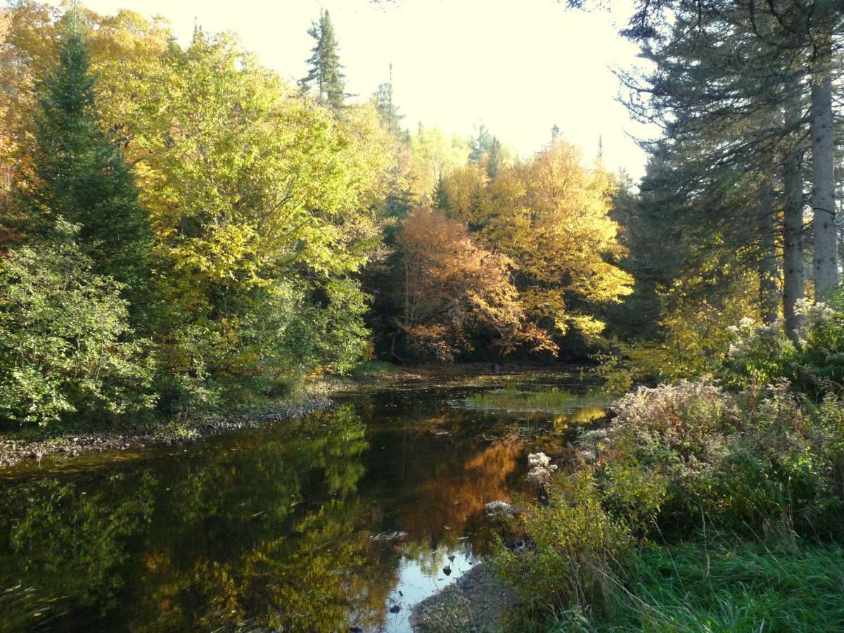 Chalet Le Semeur Saint Elie Esterno foto